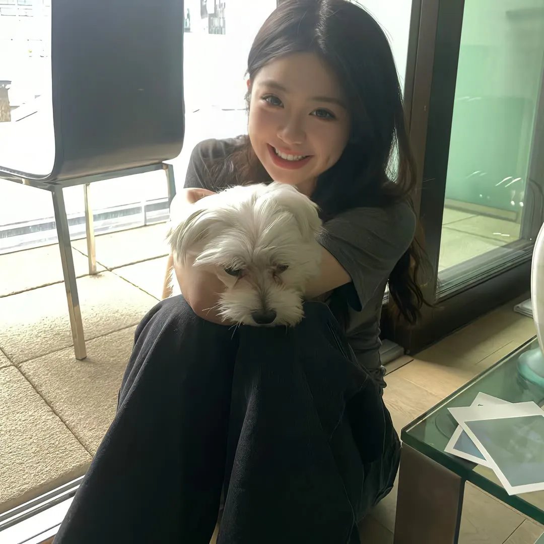 解除武装罗曼史