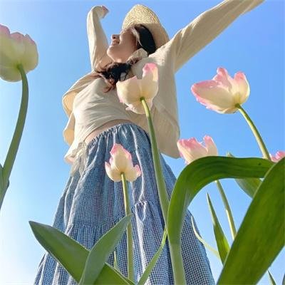 机战少女 Alice Expansion