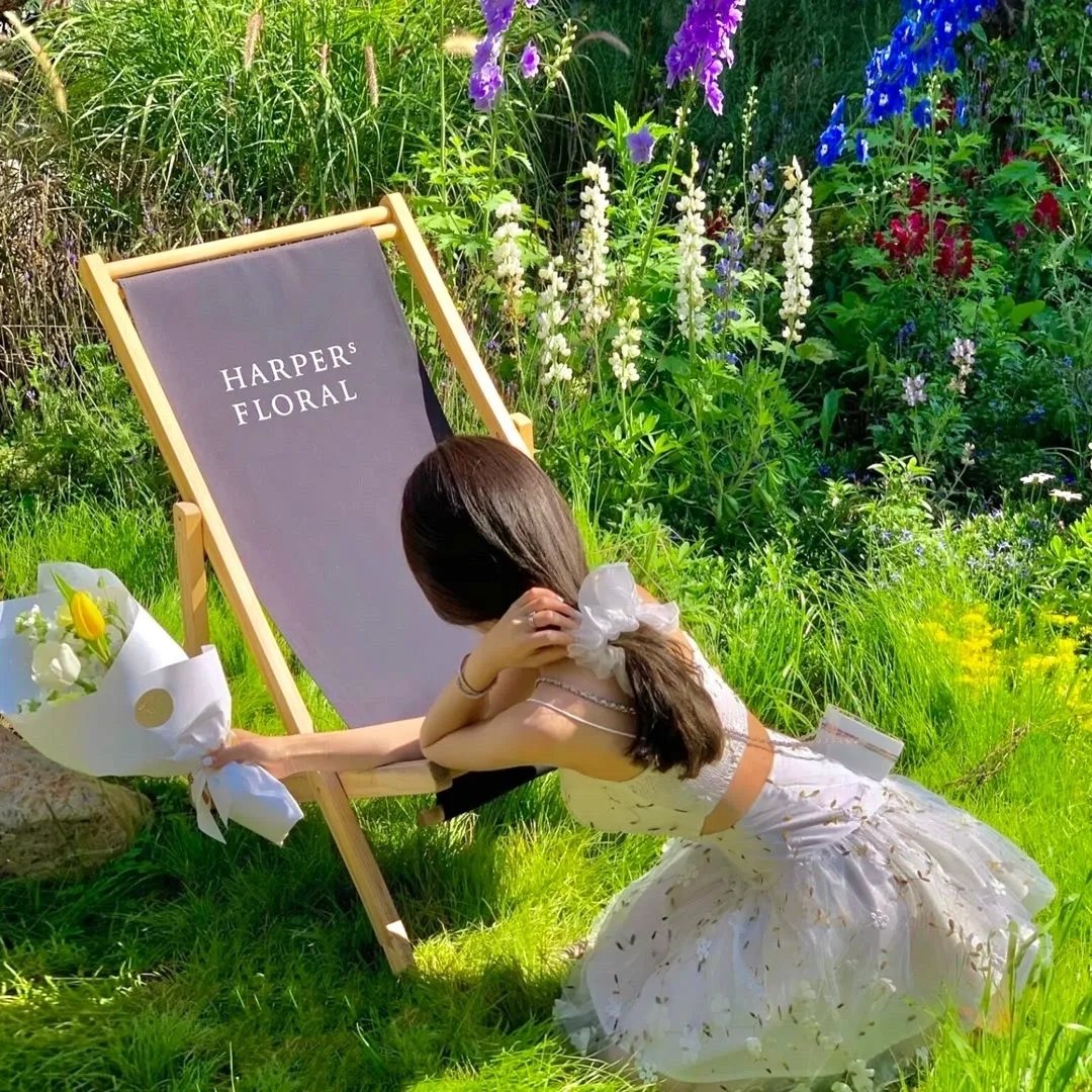 小马宝莉：新世代国语版