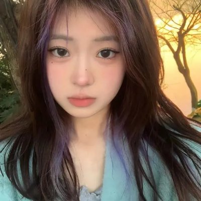 高速路上一只猫